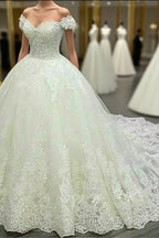 Vintage V-Neck Off The Shoulder Lace Wedding Ball Gown Dress